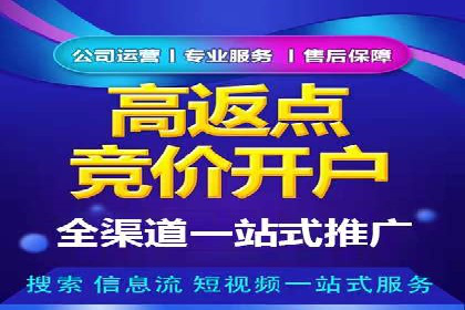 Sem优化公司案例：打造高效广告投放策略